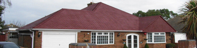 Professional Roof Cleaning