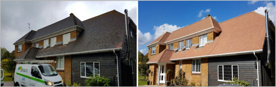 Professional Roof Cleaning