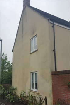 Wall and Render Cleaning