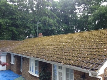 Now is the time to clean your roof as moss on a roof can cause damage to roof tiles