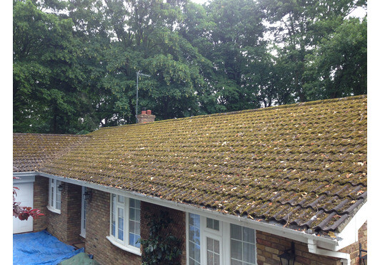 Now is the time to clean your roof as moss on a roof can cause damage to roof tiles
