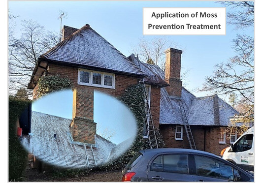 Moss Treatment for Roofs