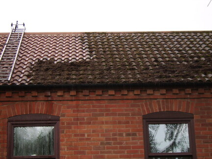 Roof Clean, Biocide and Protective Sealer