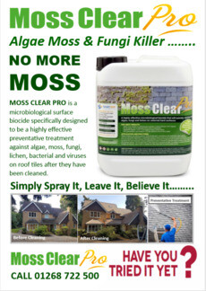 Is Your Roof Dirty & Unsightly... Problems with Moss? 