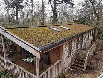 New Non Pressure Roof Cleaning Service