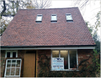 Moss on Roofs can be a Health Hazard