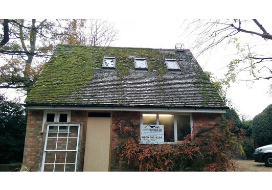 Moss on Roofs can be a Health Hazard