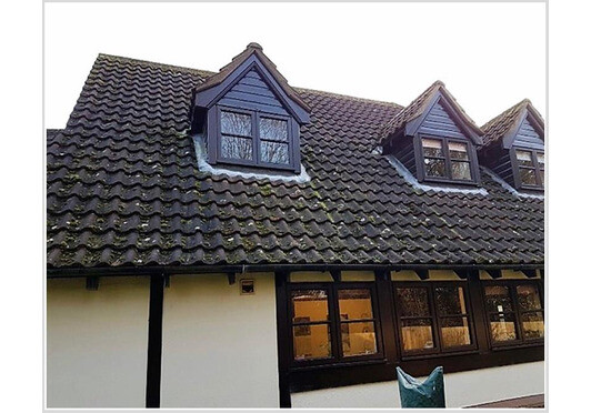 Moss on Your Roof? Now is the time to have your roof cleaned