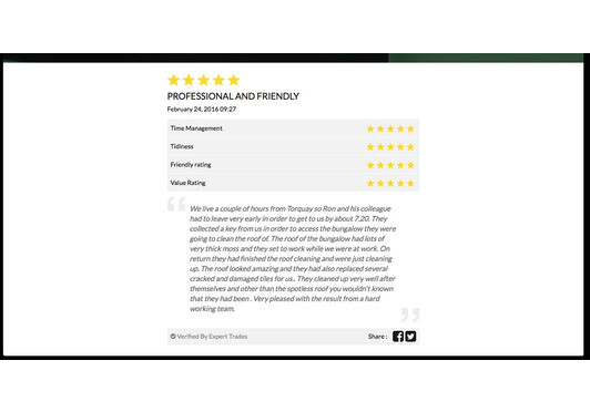 Top Review for Smartseal Registered Roof Cleaner